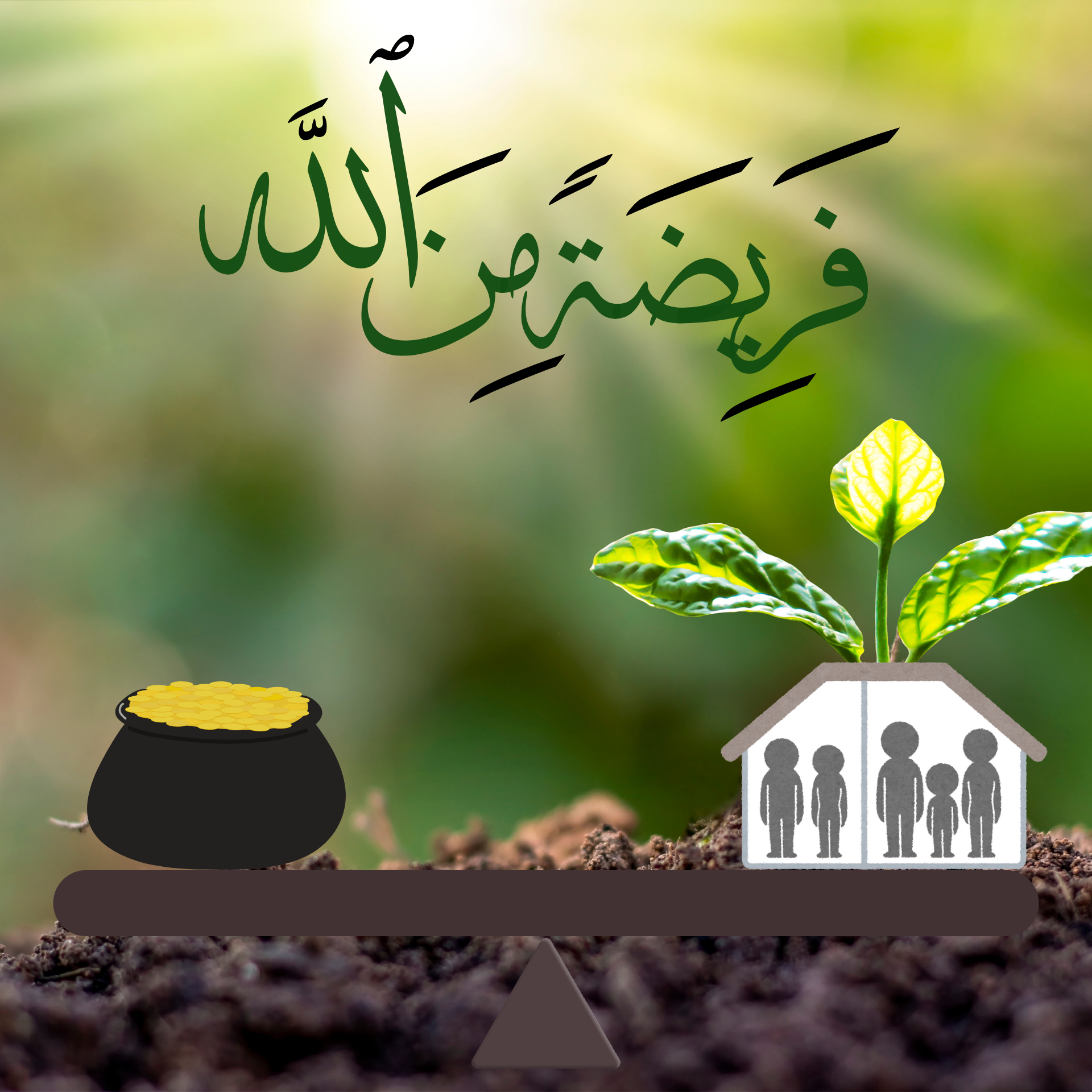 المستوى الاول